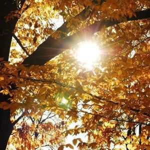 Meet your Posher, Paul